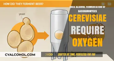 Does Saccharomyces Cerevisiae Alcohol Fermentation Need Oxygen to Succeed?