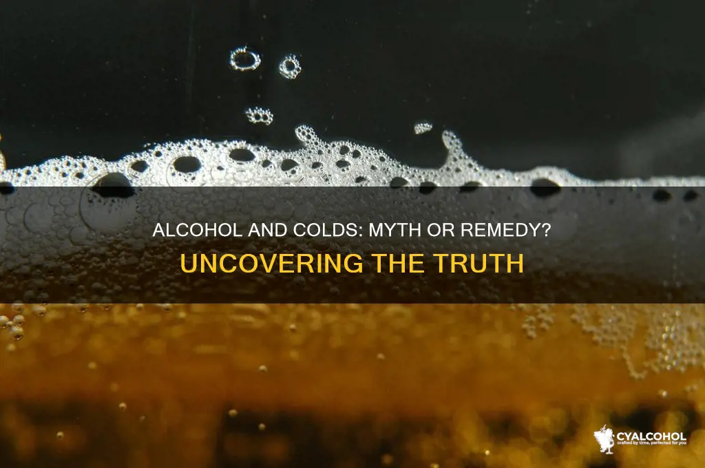 does alcohol fight colds