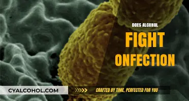 Alcohol's Role in Fighting Infections: Myth or Medical Reality?