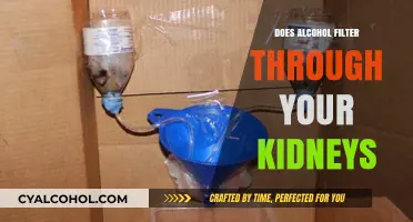 How Alcohol Affects Kidney Function: Understanding the Filtration Process