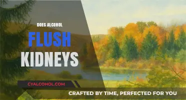 Alcohol and Kidney Health: Does Drinking Help Flush Your Kidneys?