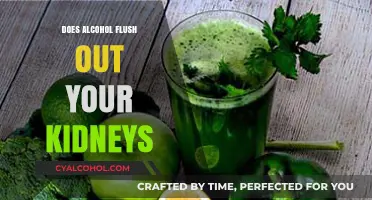 Alcohol and Kidney Health: Does Drinking Flush Out Toxins?