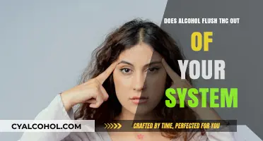 Alcohol and THC Detox: Myth or Effective System Cleanse?