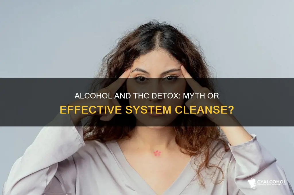 does alcohol flush thc out of your system