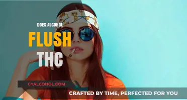 Does Alcohol Flush THC? Debunking Myths and Understanding Detox Methods