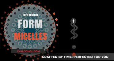 Does Alcohol Form Micelles? Exploring the Science Behind Solubility