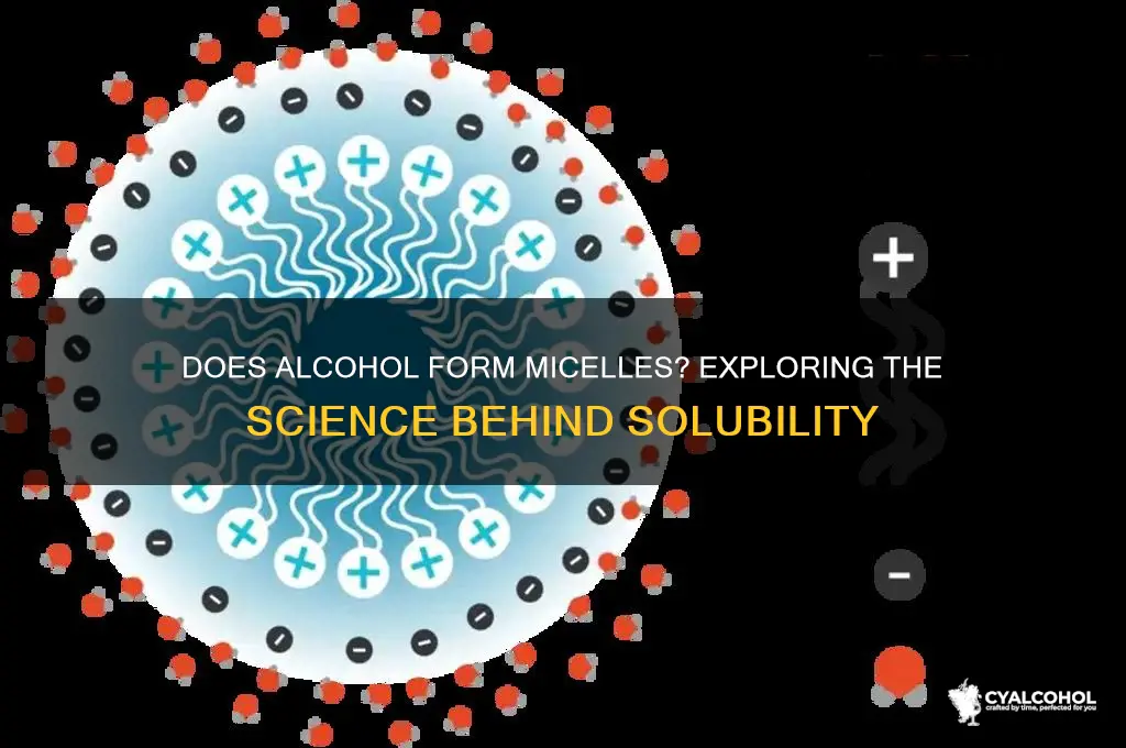 does alcohol form micelles