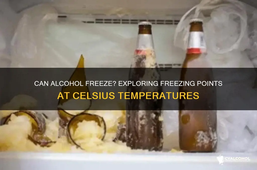 does alcohol freeze celsius