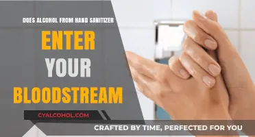Can Hand Sanitizer Alcohol Enter Your Bloodstream? Facts and Myths
