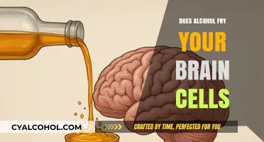 Does Alcohol Really Fry Your Brain Cells? Separating Fact from Fiction