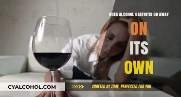 Can Alcohol-Induced Gastritis Heal Without Treatment? What You Need to Know