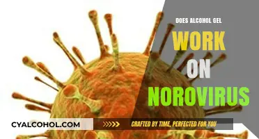 Alcohol Gel vs. Norovirus: Does It Really Kill the Stomach Bug?