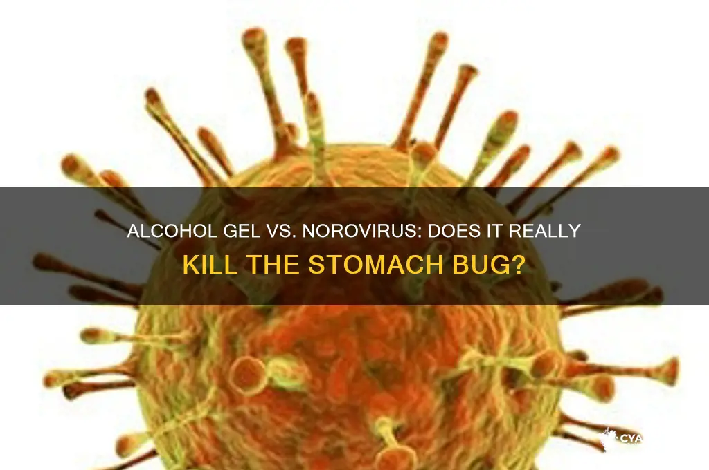 does alcohol gel work on norovirus