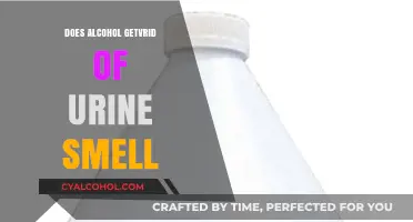 Can Alcohol Eliminate Urine Odor? Facts and Myths Explained