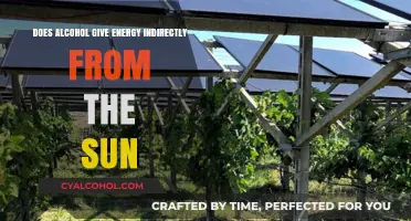 Sun's Energy in Alcohol: Unveiling the Indirect Connection