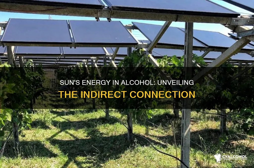 does alcohol give energy indirectly from the sun