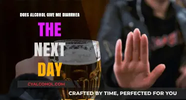 Alcohol and Diarrhea: Understanding the Next-Day Digestive Aftermath