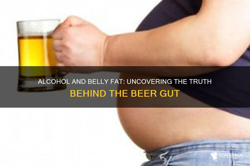 does alcohol give you a belly