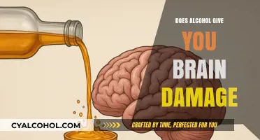 Alcohol and Brain Health: Uncovering the Risks of Cognitive Damage