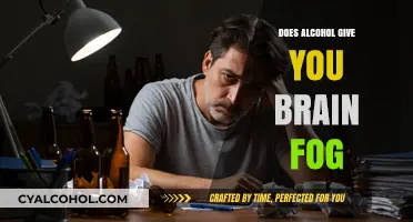 Alcohol and Brain Fog: Unraveling the Cognitive Haze Connection