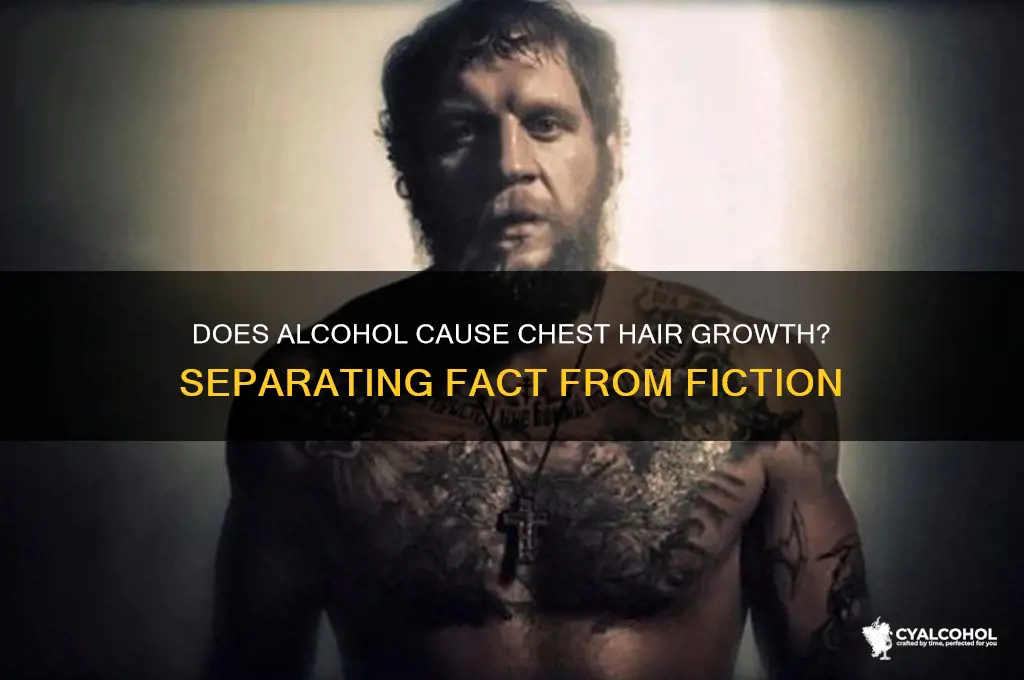 does alcohol give you chest hair