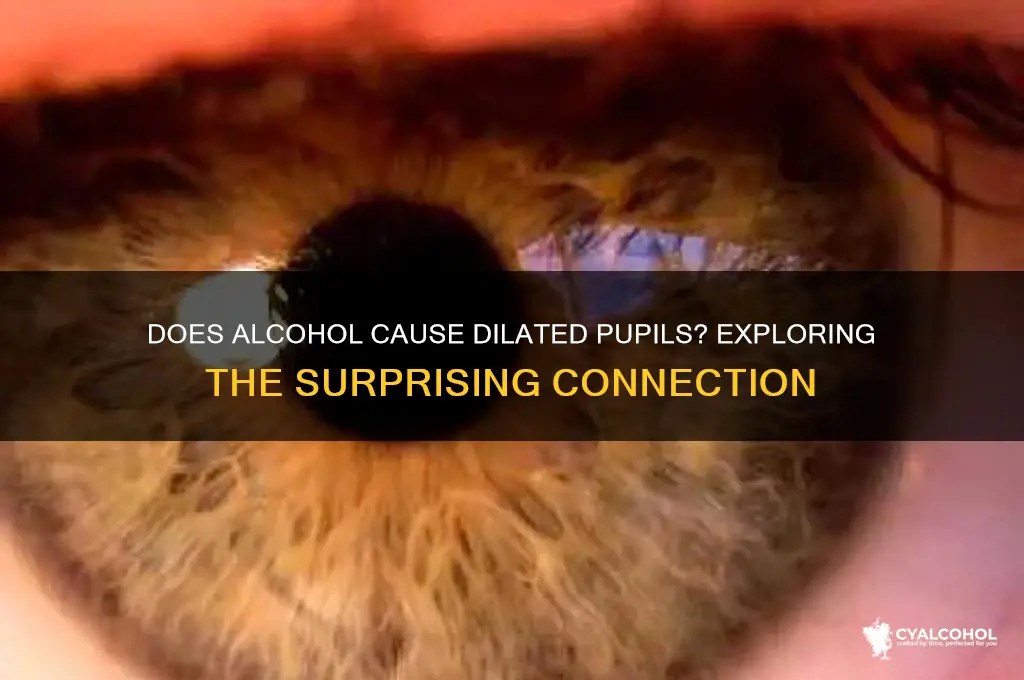 does alcohol give you dilated pupils