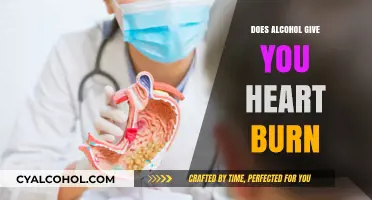 Alcohol and Heartburn: Unraveling the Connection and Prevention Tips
