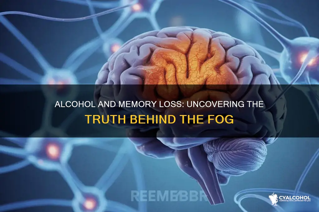 does alcohol give you memory loss