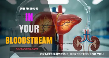 How Alcohol Enters Your Bloodstream: The Science Behind Absorption