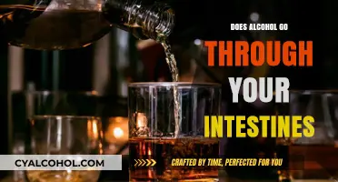 How Alcohol Absorption Affects Your Intestines: A Digestive Journey Explained