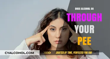 Does Alcohol Exit Through Urine? The Truth About Elimination