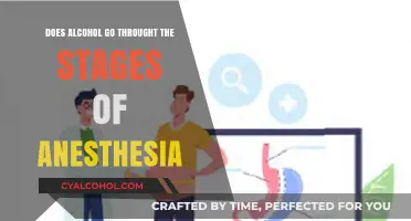 Alcohol's Anesthetic Journey: Exploring Its Stages of Sedation and Effects