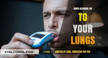 Does Alcohol Reach Your Lungs? Uncovering the Truth Behind the Myth