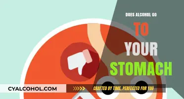 Does Alcohol Go to Your Stomach? Understanding Absorption and Effects