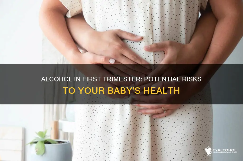 does alcohol harm baby first trimester