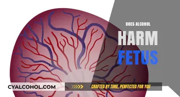 Alcohol and Pregnancy: Understanding the Risks to Fetal Development