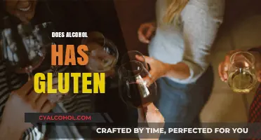 Does Alcohol Contain Gluten? A Guide to Gluten-Free Drinking