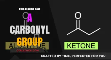 Exploring Alcohol's Chemical Structure: Does It Contain a Carbonyl Group?