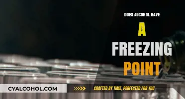 Does Alcohol Freeze? Exploring the Freezing Point of Alcoholic Beverages
