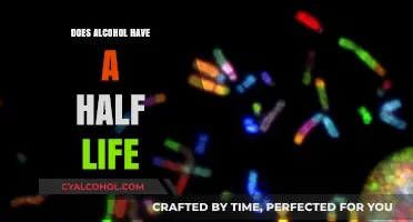 Understanding Alcohol's Half-Life: Metabolism, Elimination, and Duration Explained