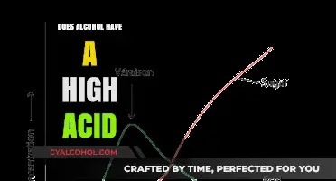 Alcohol and Acidity: Unveiling the Truth About Its Acidic Nature