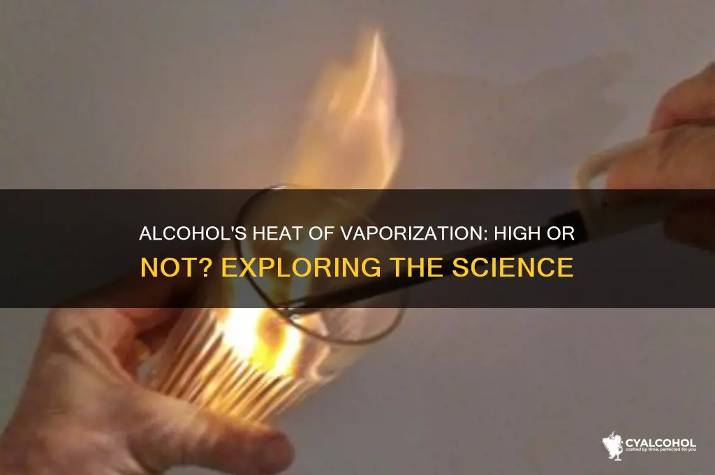 does alcohol have a high heat of vaporization