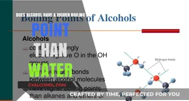 Why Alcohol's Boiling Point Differs from Water's