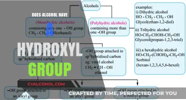 Does Alcohol Contain a Hydroxyl Group? Unraveling the Chemical Mystery