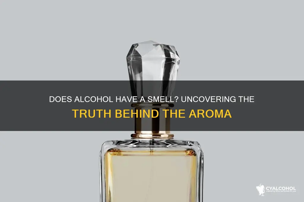 does alcohol have a smell