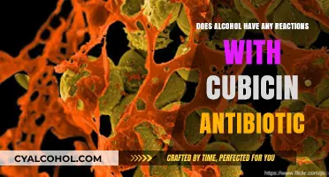 Alcohol and Cubicin Antibiotic: Potential Reactions and Safety Concerns