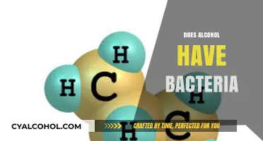 Does Alcohol Harbor Bacteria? Unveiling the Truth About Drinks and Microbes