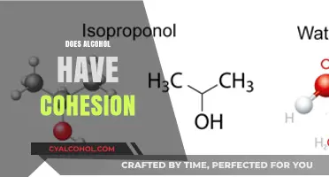 Exploring Alcohol's Molecular Cohesion: Unraveling the Science Behind Its Behavior