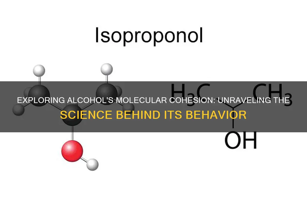 does alcohol have cohesion