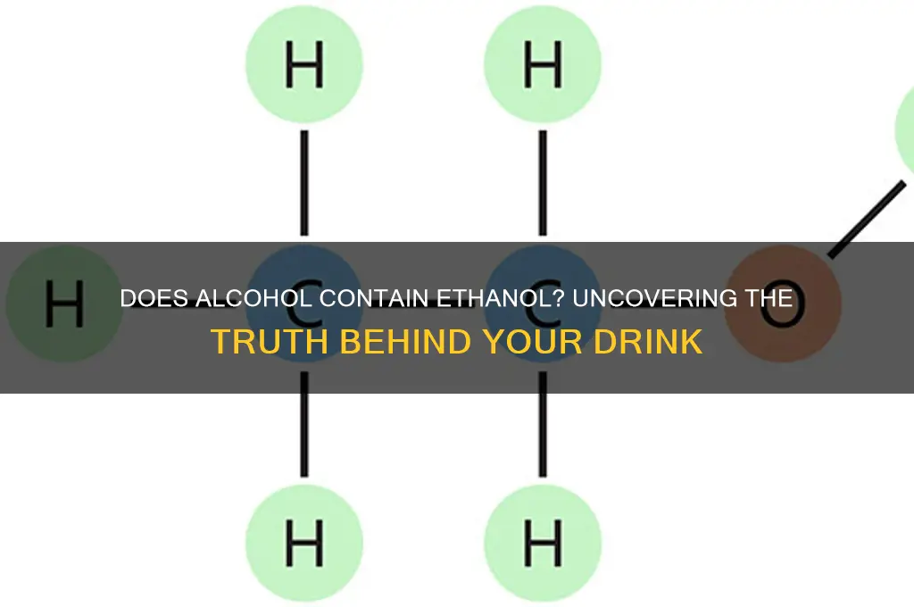 does alcohol have ethanol in it